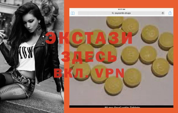гидра Вяземский