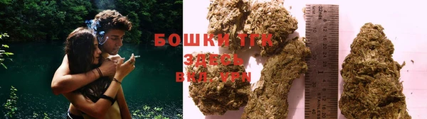 стаф Горняк