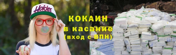 стаф Горняк