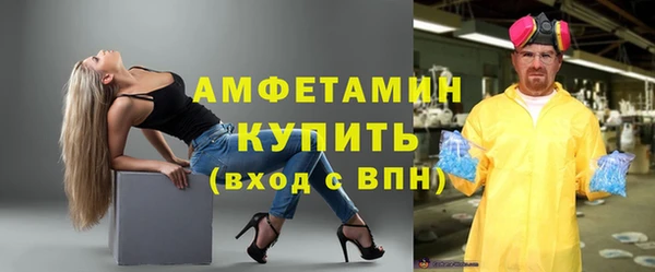 гидра Вяземский