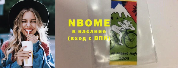 стаф Горняк