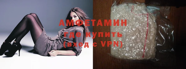 ПСИЛОЦИБИНОВЫЕ ГРИБЫ Горно-Алтайск