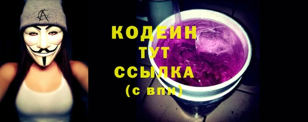 гидра Вяземский
