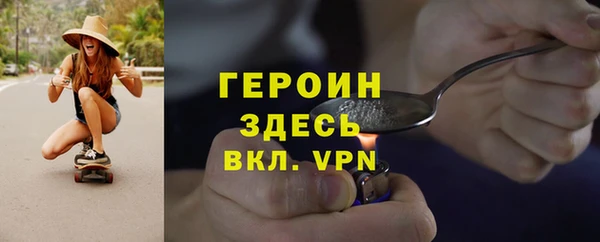 гидра Вяземский