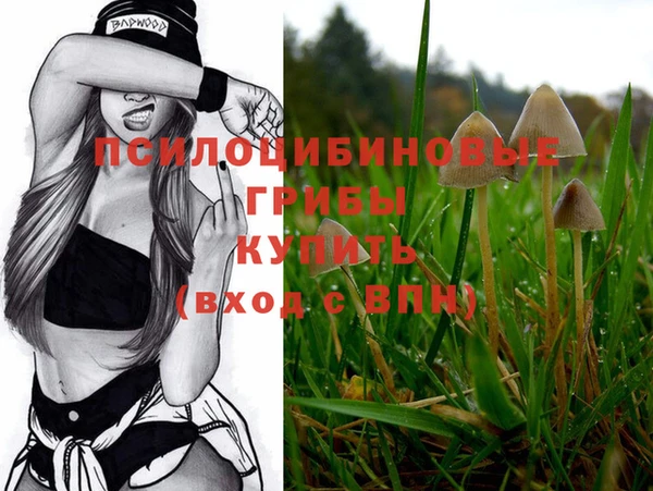стаф Горняк
